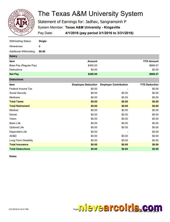 The Texas A&M University System Earnings statement